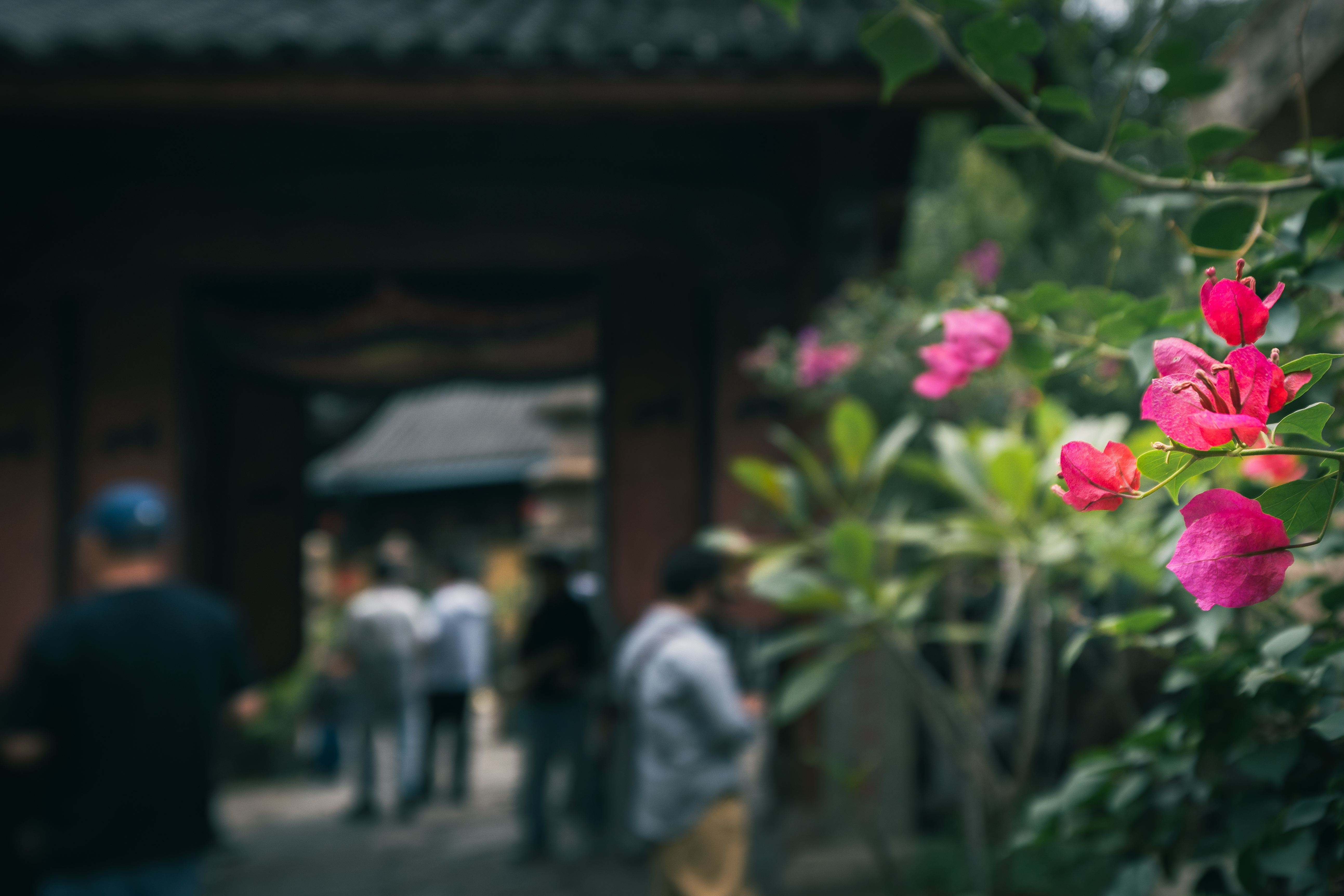 龙潭古寺 参考图 1